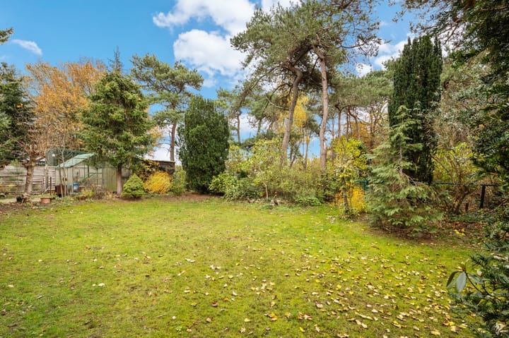 Foto 27 van Nauwstraat 11