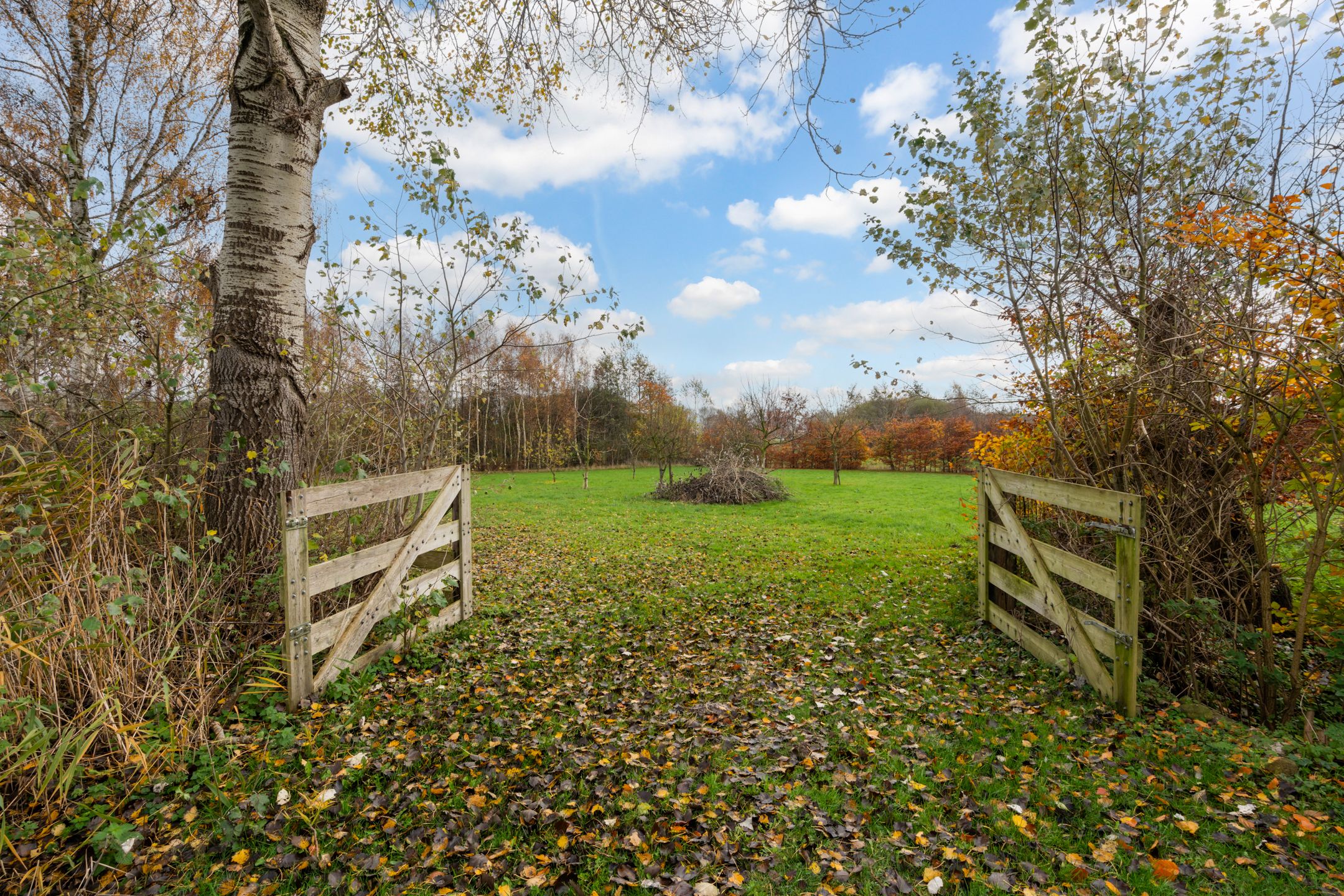 Foto 30 van Willem Moesweg 25