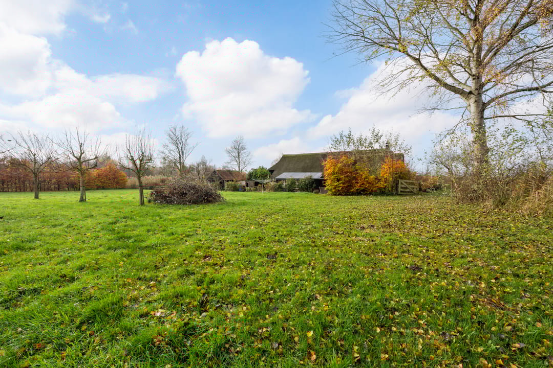 Foto 32 van Willem Moesweg 25