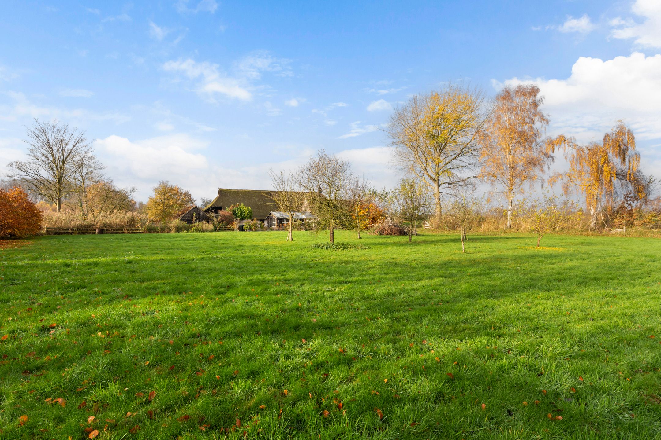 Foto 33 van Willem Moesweg 25