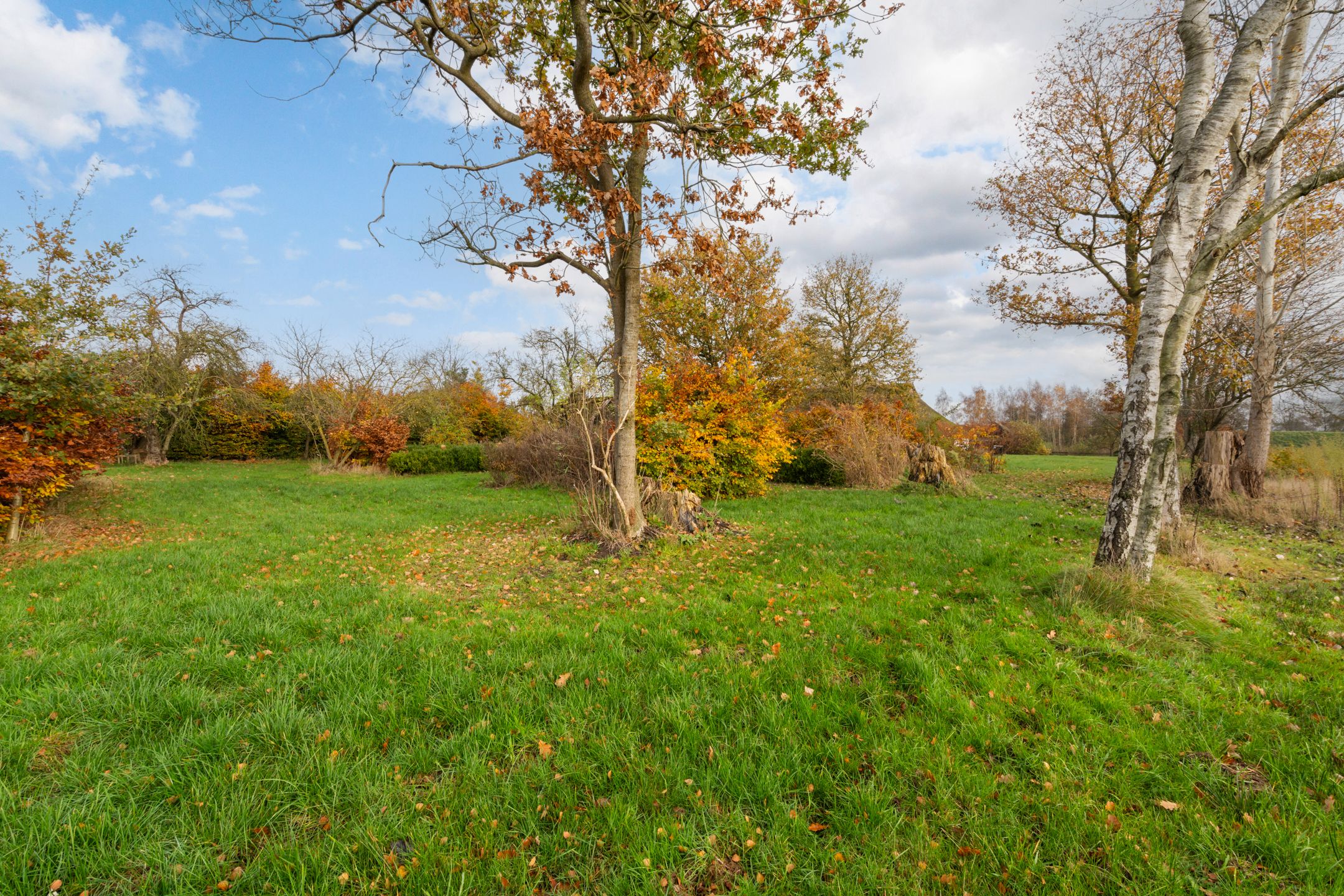 Foto 36 van Willem Moesweg 25