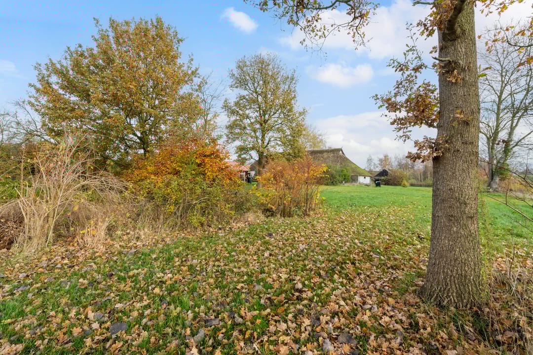 Foto 37 van Willem Moesweg 25