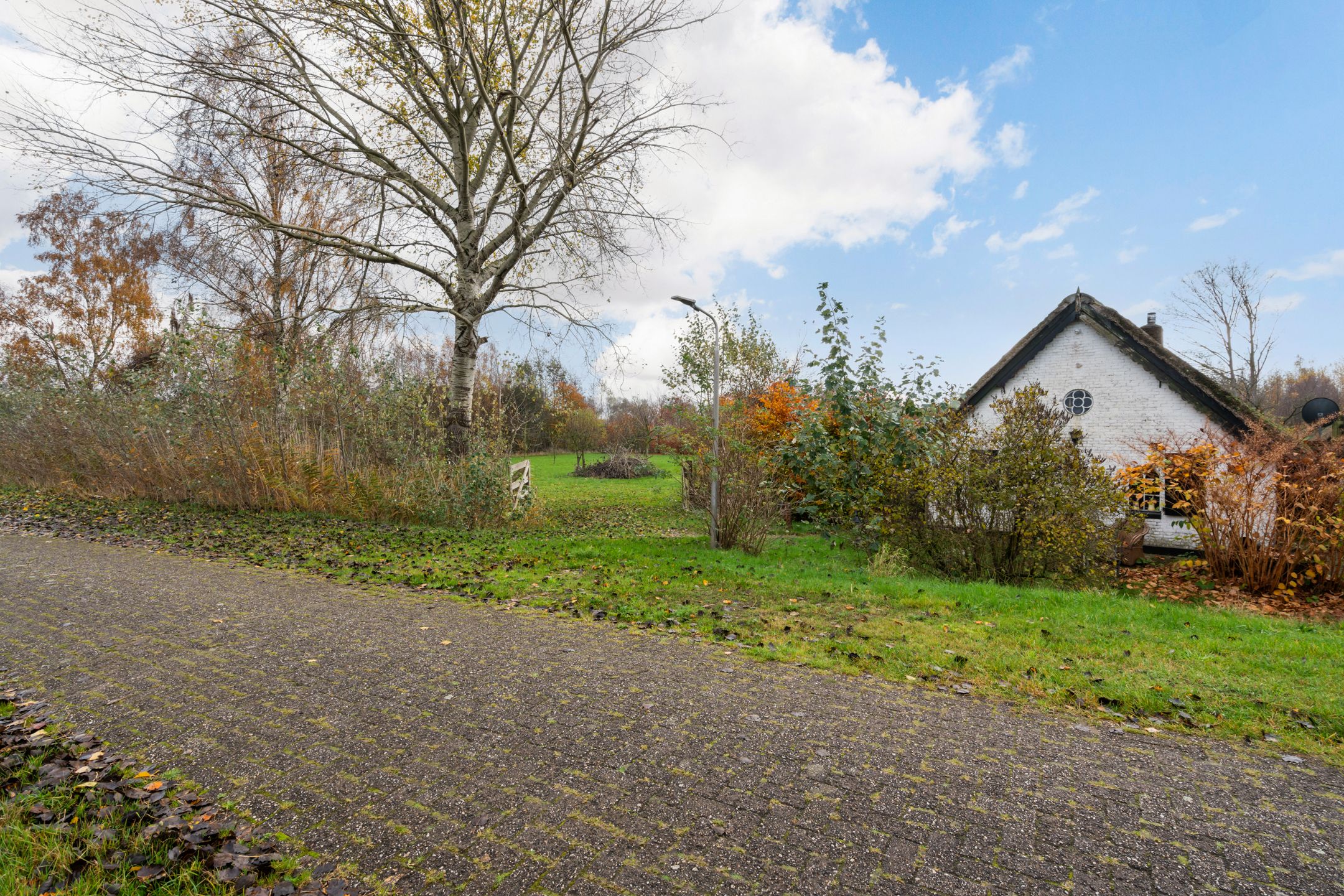 Foto 42 van Willem Moesweg 25