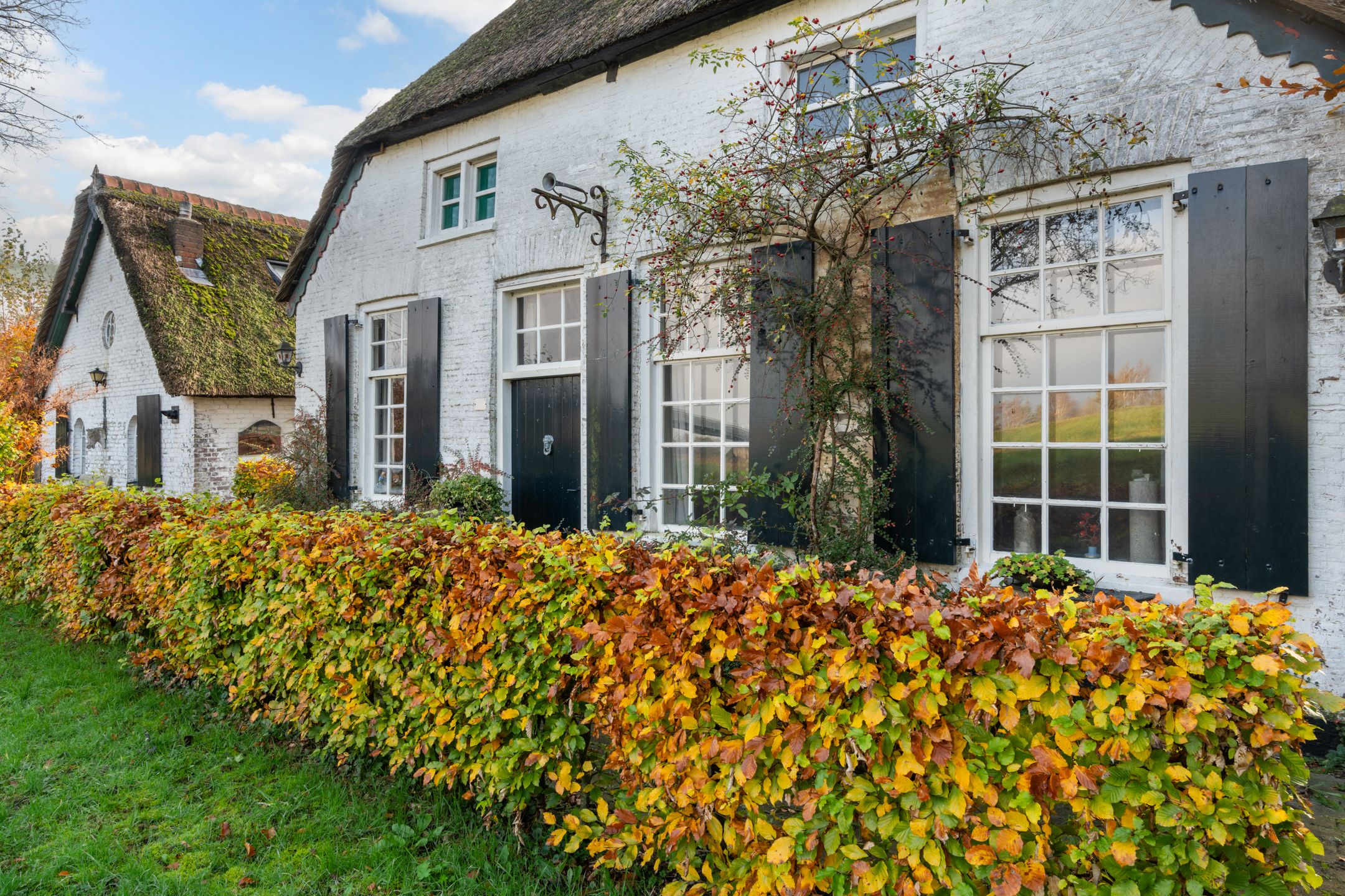 Foto 48 van Willem Moesweg 25