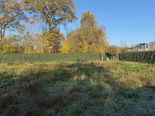 Foto 1 van Droogsestraat