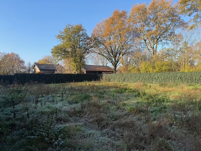 Foto 4 van Droogsestraat