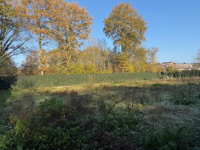 Foto 5 van Droogsestraat