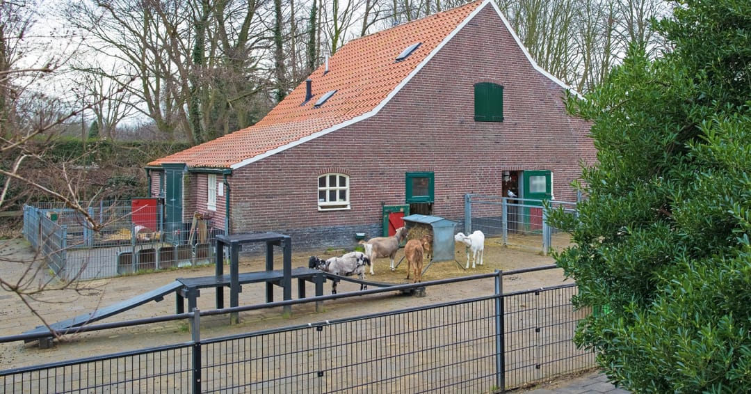 Foto 41 van Perenstraat 165