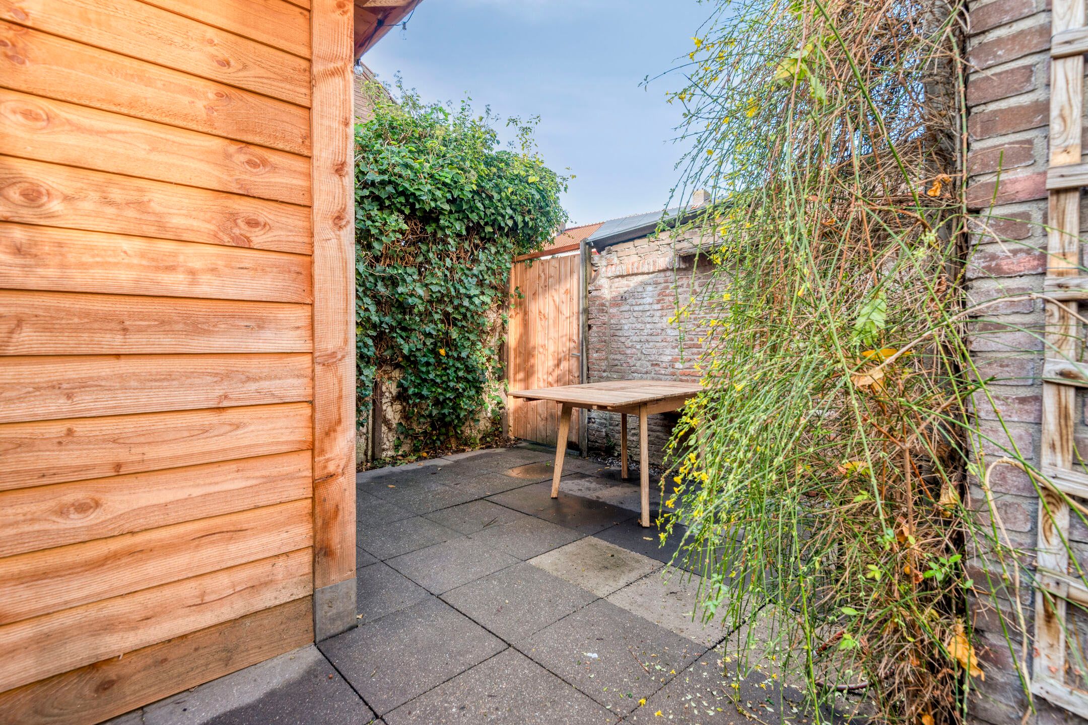 Foto 15 van van Rijckevorsel van Kessellaan 35