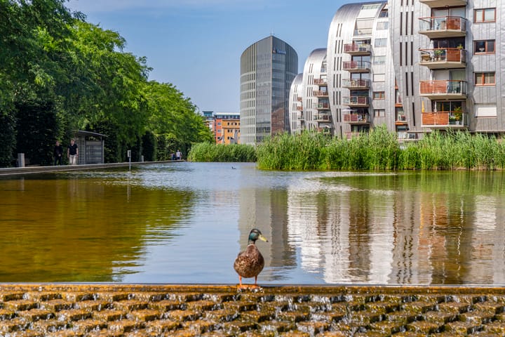 Foto 38 van Bordeslaan 355