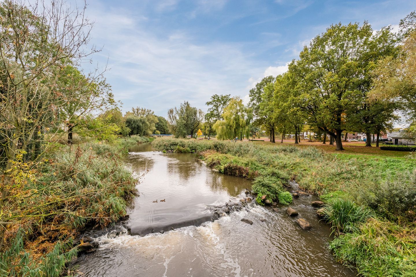 Foto 25 van Meijerijstraat 19