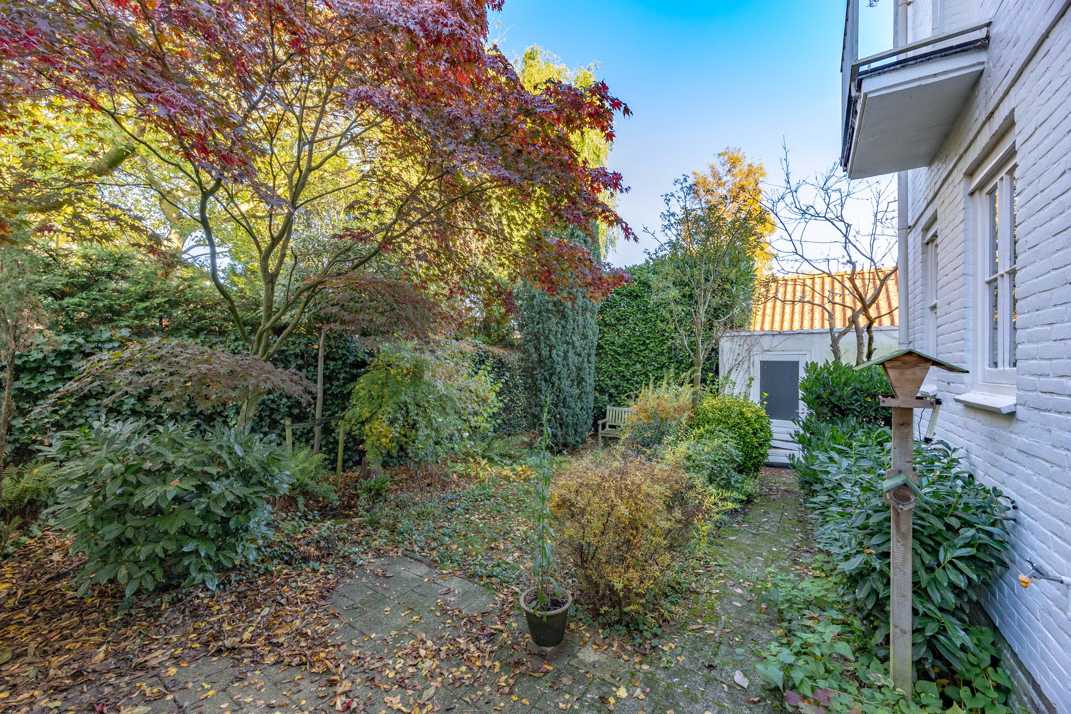 Foto 15 van Meidoornlaan 20