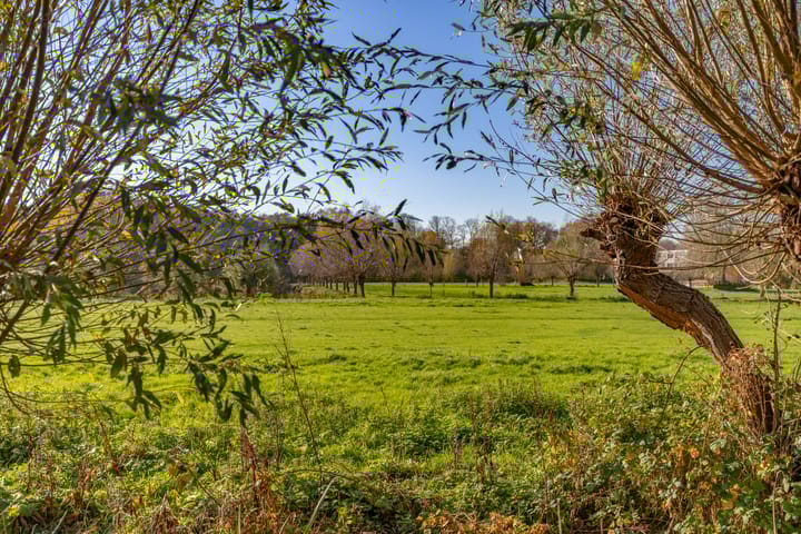 Foto 37 van Meidoornlaan 20