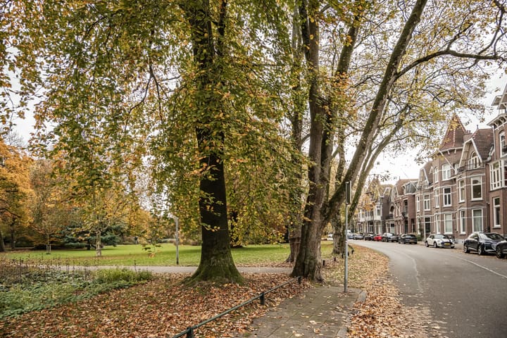 Foto 41 van Prinsenstraat 29