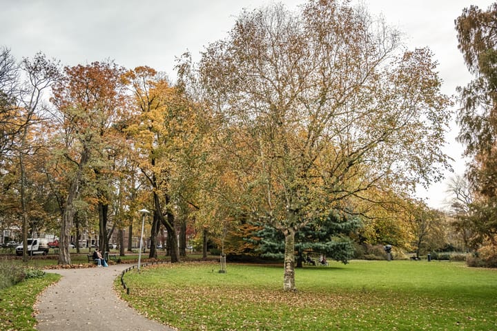 Foto 42 van Prinsenstraat 29