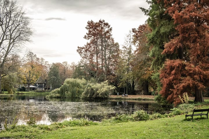 Foto 44 van Prinsenstraat 29