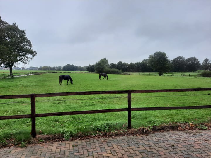 Foto 4 van Wiefferweg 3-A