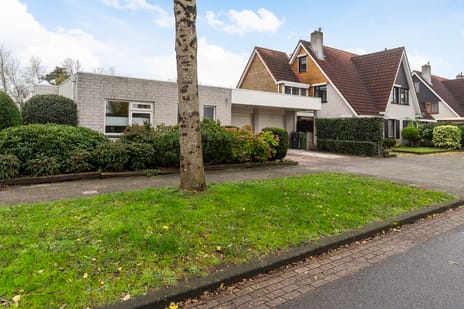 Staniastate 26 secondary image