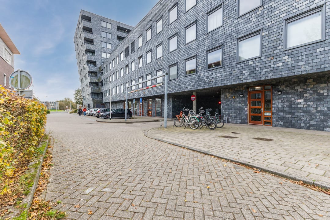 Foto 7 van Rottumeroog 150