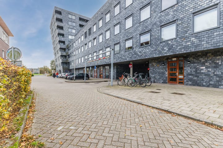 Photo 7 of Rottumeroog 150