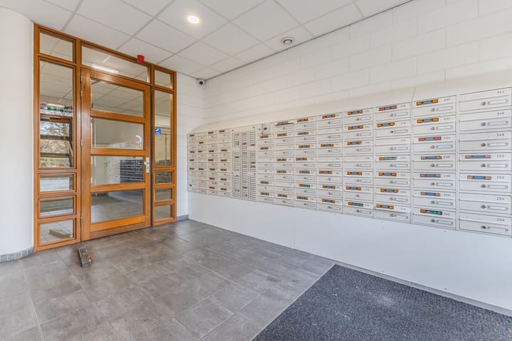 Photo 9 of Rottumeroog 150