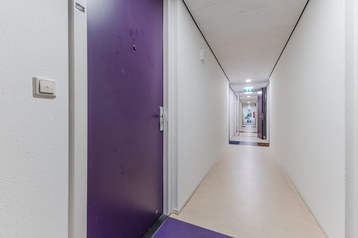 Photo 12 of Rottumeroog 150