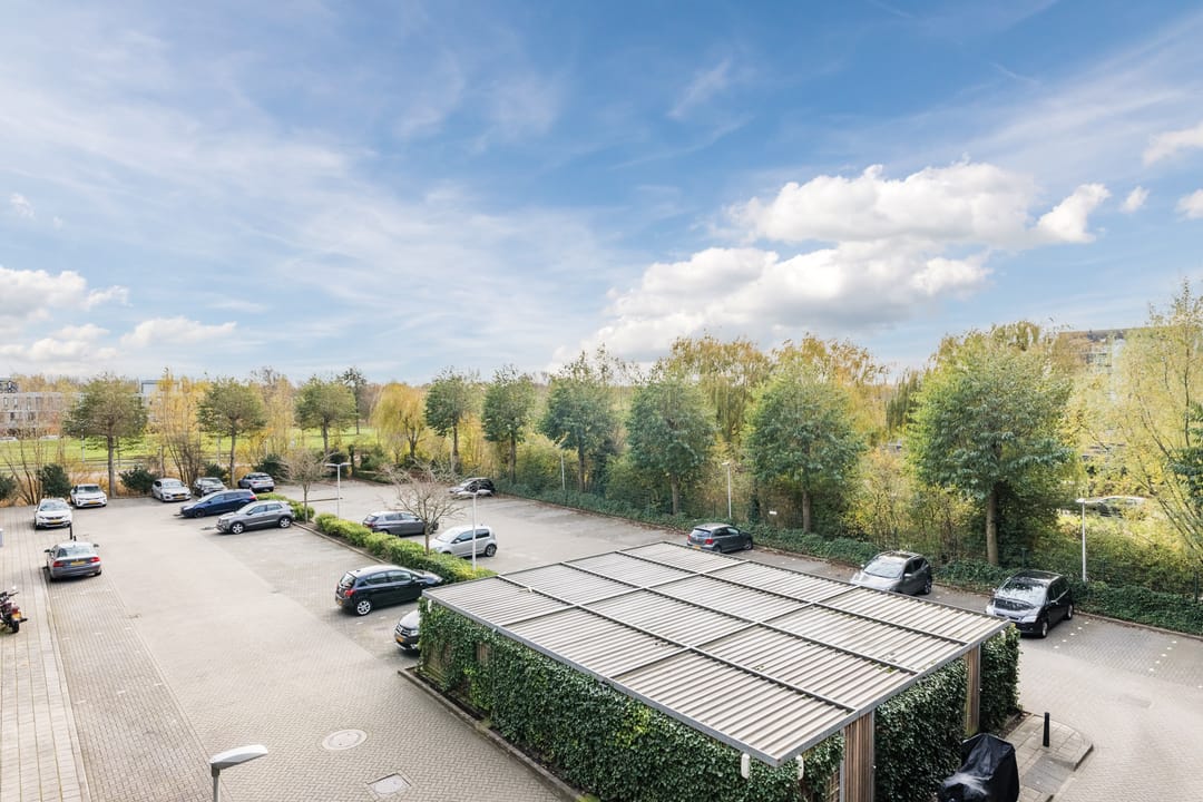 Foto 26 van Rottumeroog 150