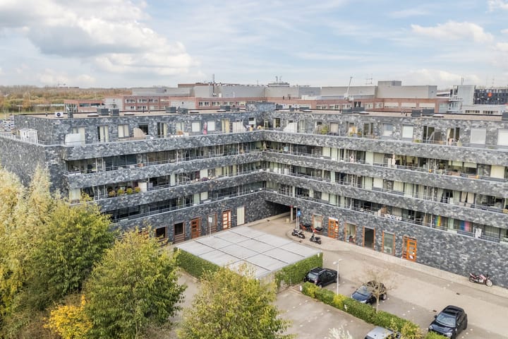 Photo 28 of Rottumeroog 150