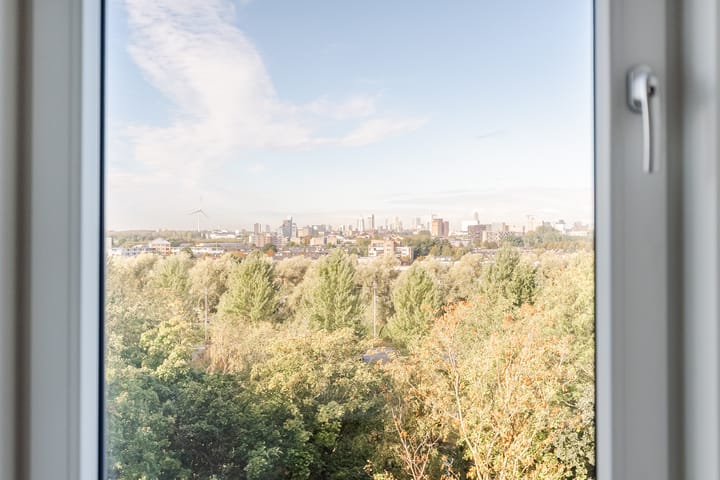 Photo 24 of Blinkert 141