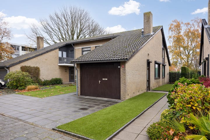 Foto 8 van Dommeldal 62