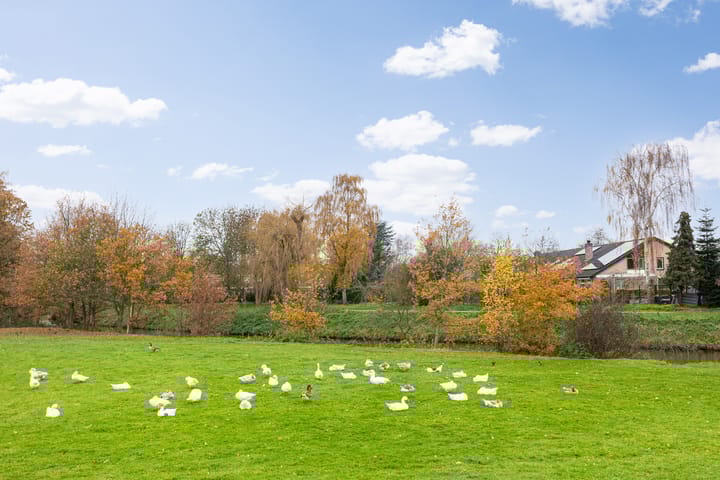 Foto 45 van Dommeldal 62