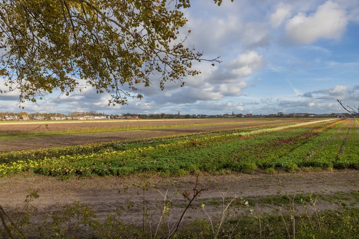 Foto 50 van 3e Loosterweg 50