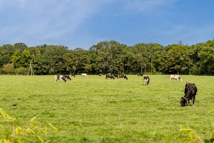 Photo 47 of Melkrijdersweg 14