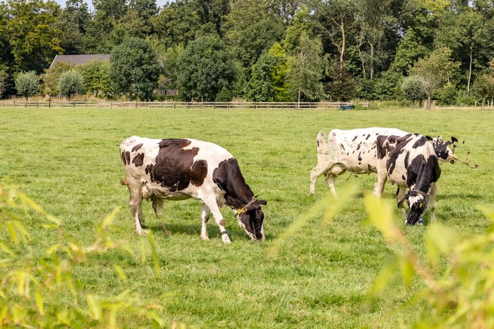 Photo 49 of Melkrijdersweg 14