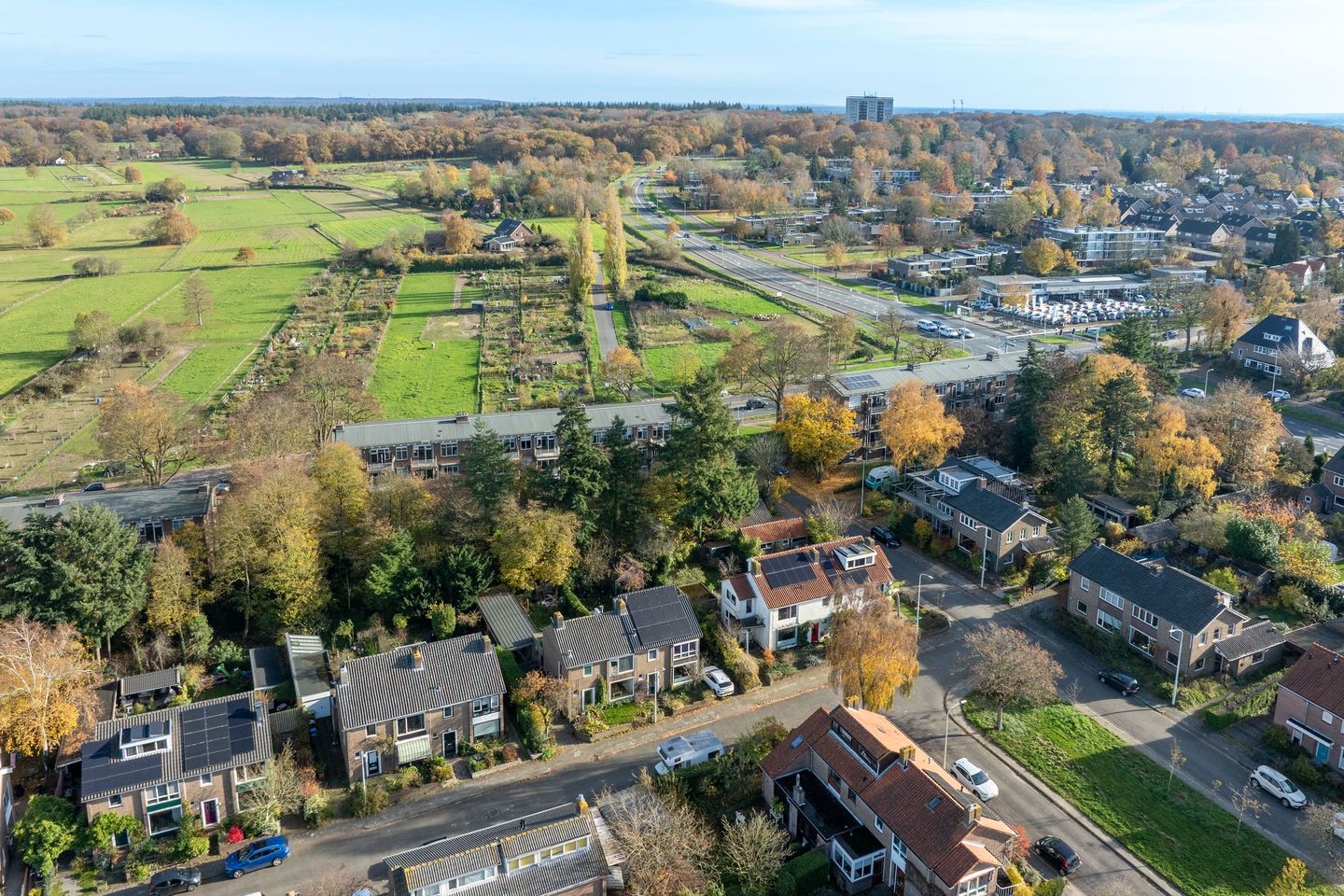 Photo 35 of Kamperfoelielaan 2