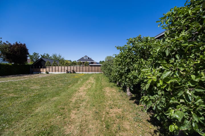 Photo 3 of Boekdrukkersgilde