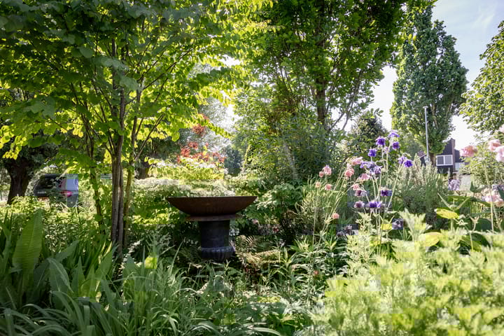 Foto 31 van Tripkouw 1