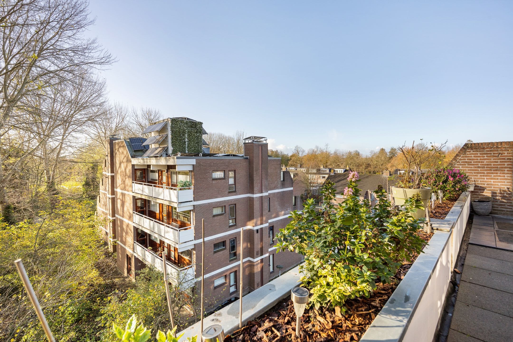 Foto 24 van Groenhof 177