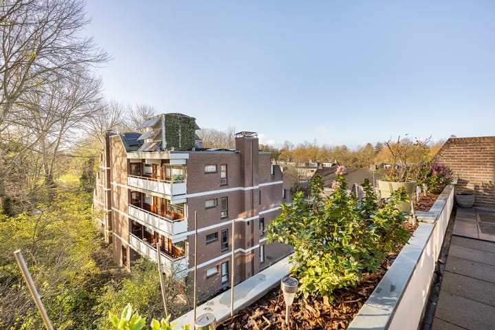 Photo 24 of Groenhof 177