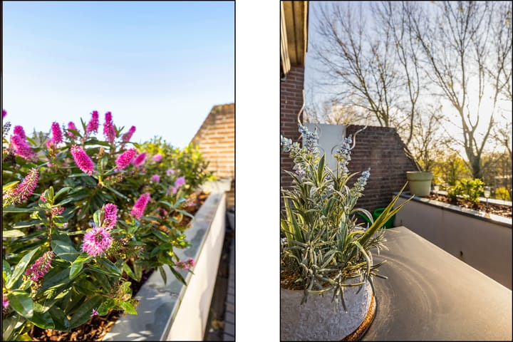 Photo 26 of Groenhof 177