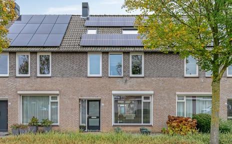 undefined main image