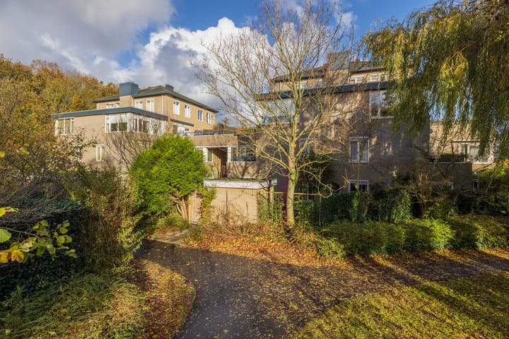 Foto 30 van Laan van Dick Laan 16