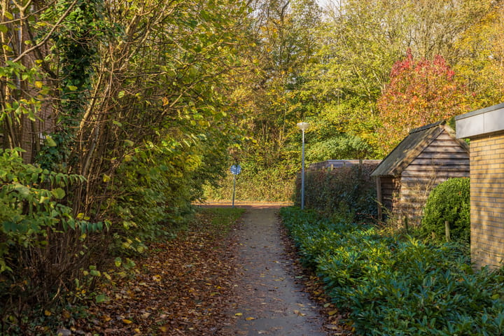 Foto 31 van Laan van Dick Laan 16