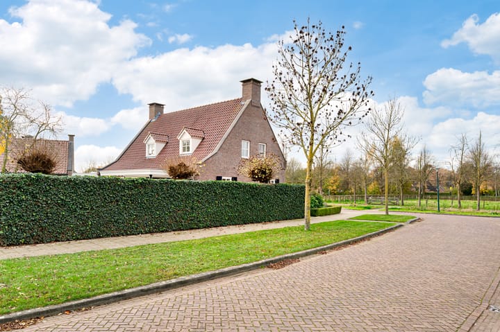 Foto 39 van Dijksteegje 30