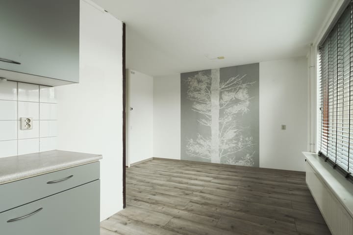 Photo 15 of Van Pallandtvliet 16