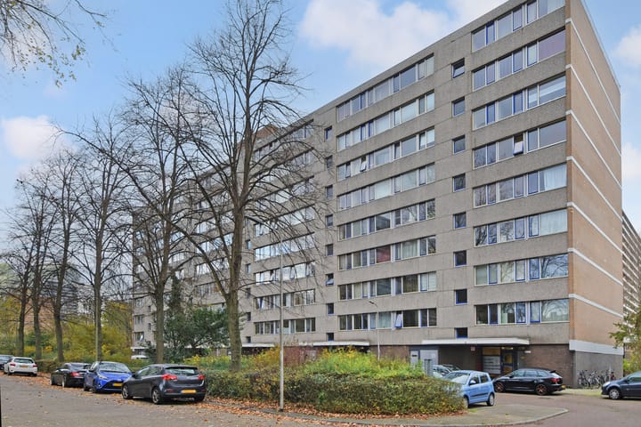 Roland Holstlaan 1033