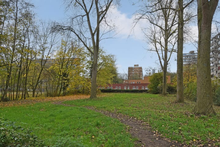 Foto 29 van Roland Holstlaan 1033