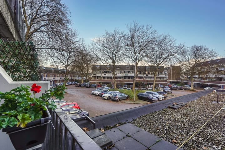 Foto 17 van Paul Scholtenrode 9