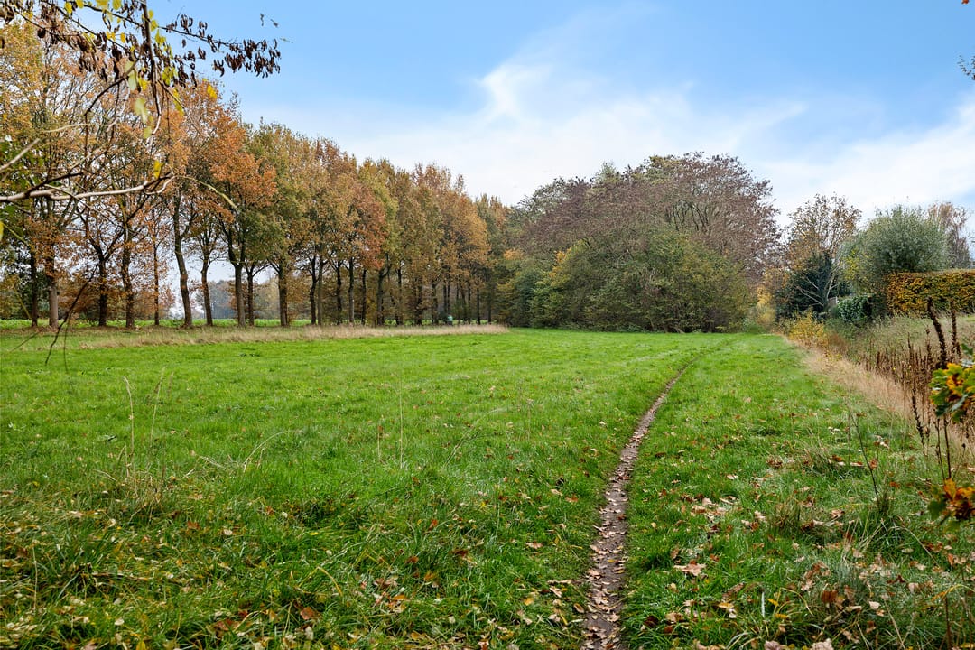 Foto 7 van Labradorietdreef 5