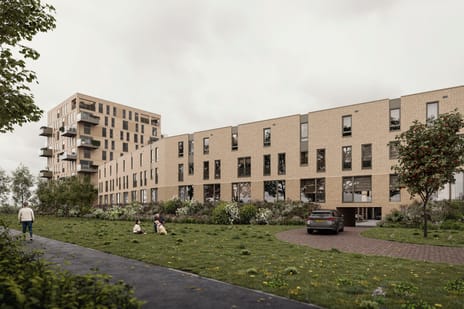 De Luwte tertiary image